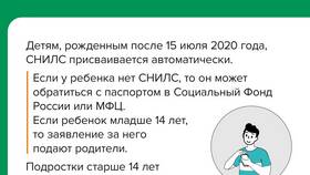 Для чего запрашивают СНИЛС в Красно Золото