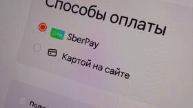 Как оформить доставку в Додо в Красно Золото