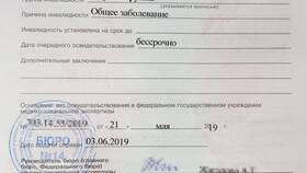 Как оформить инвалидность через Госуслуги: пошаговая инструкция в Красно Золото