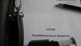 Как оформить выписку из устава организации в Красно Золото