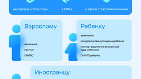 Как подать заявление на полис через Госуслуги в Красно Золото
