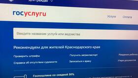 Как получить водительские права через Госуслуги в Красно Золото