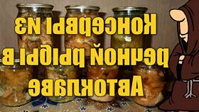 Как приготовить в банке: домашние заготовки и рецепты в Красно Золото