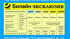 Как проверить и управлять интернет-трафиком на Билайн в Красно Золото