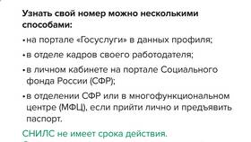 Как узнать СНИЛС по паспорту бесплатно в Красно Золото