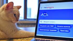 Как запросить выписку на Госуслугах в Красно Золото