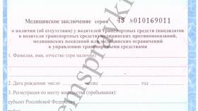 Справка в ГИБДД: что нужно пройти в Красно Золото