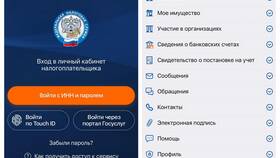Сроки создания личного кабинета налогоплательщика через Госуслуги в Красно Золото