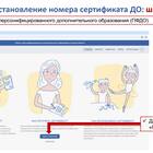 Инструкция по получению сертификата через Госуслуги